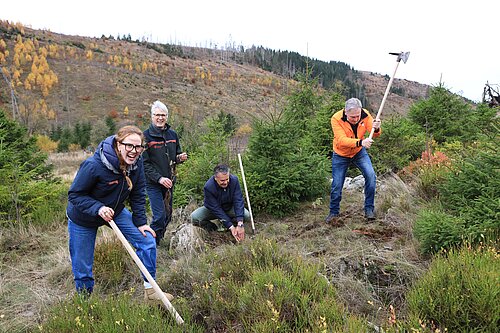 Gruppe von vier Leuten pflanzt lachend Bäume in herbstlichem Waldgebiet.