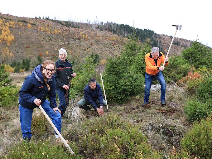 Gruppe von vier Leuten pflanzt lachend Bäume in herbstlichem Waldgebiet.
