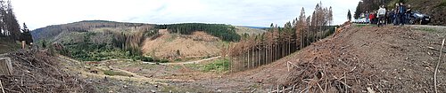 Der Harzer Wald hat stark unter den Folgen des Klimawandels zu leiden und soll großflächig aufgeforstet werden. Fotos: Niedersächsische Landesforsten